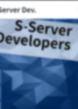 S-Server Developers HP